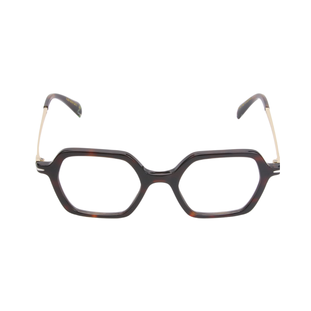 R1199 002 P